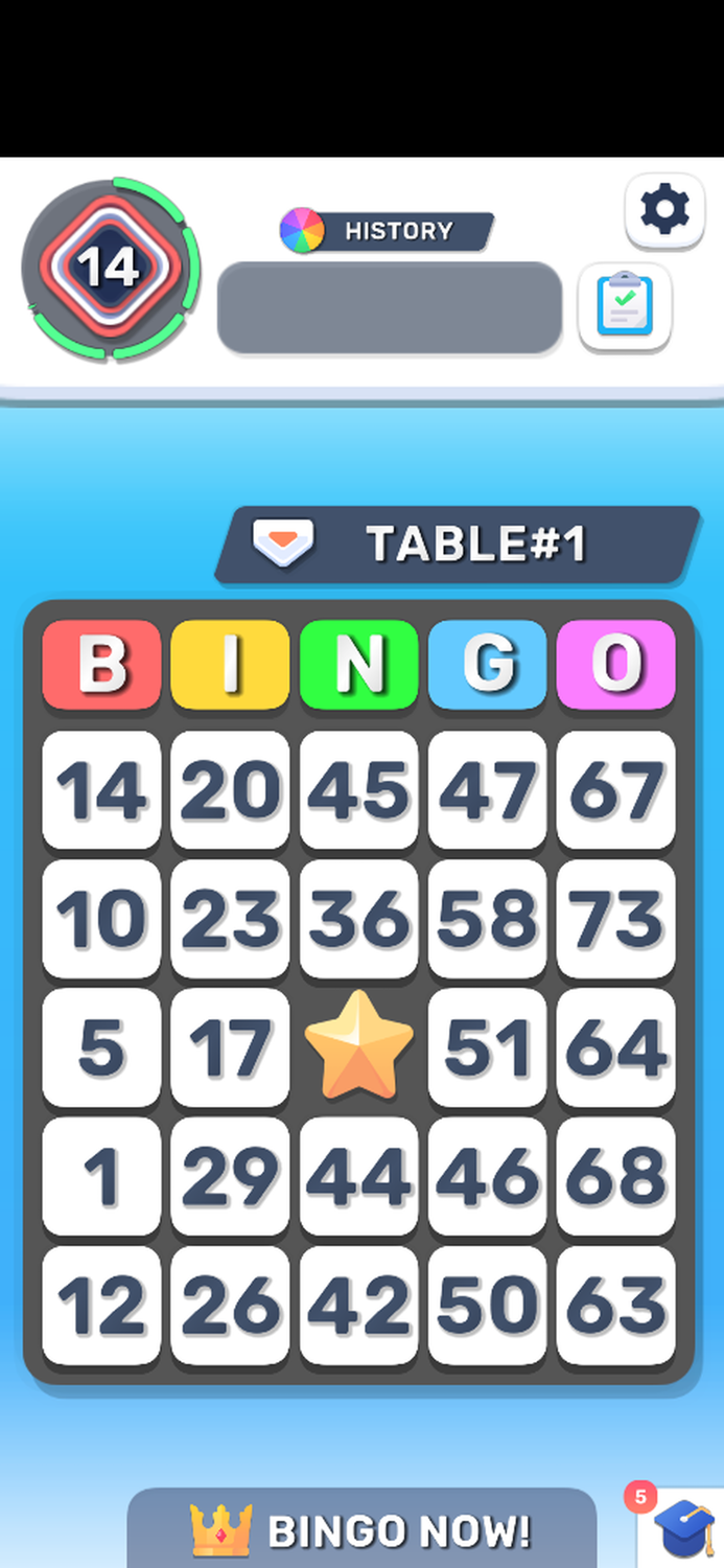 Bingo Loto Online