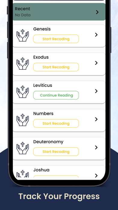 Audio Bible in English Screenshot