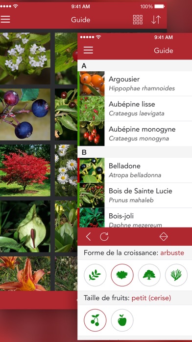 Screenshot #3 pour Baies et Herbes Sauvages 2 PRO