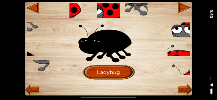 My Little Insect Jigsaws
