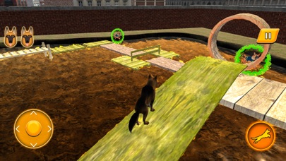 NY City K9 Police Dog Survival Screenshot