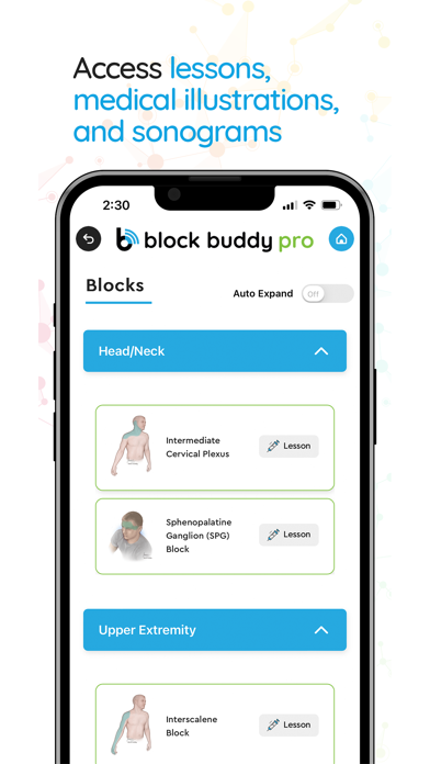 Block Buddy Pro Screenshot