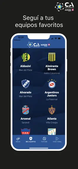 Game screenshot Copa Argentina hack