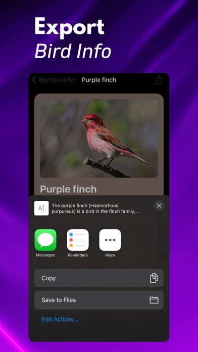 Bird ID: Identify Birds Screenshot