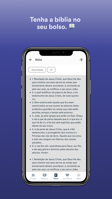 IBVN Aracruz Screenshot