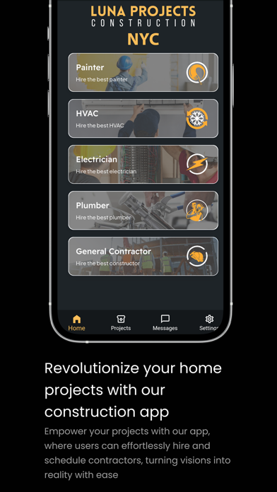 Luna Projects Screenshot