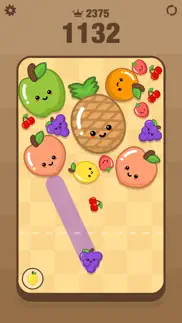 watermelon panic! iphone screenshot 2