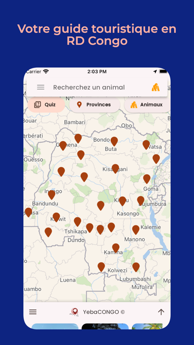 YebaCONGO Screenshot