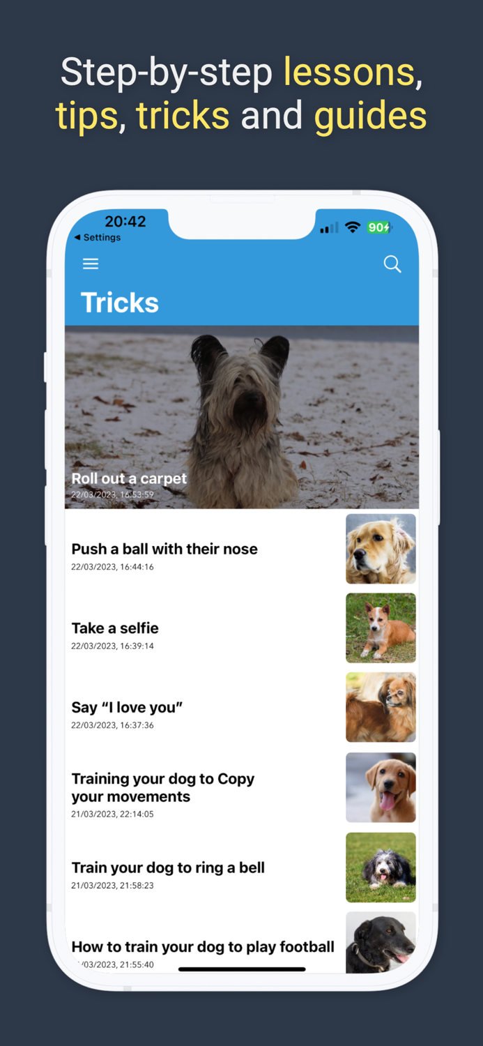 Pawfect Life - Puppy Training