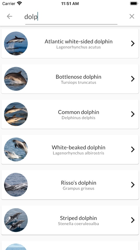 #6. Sea Watcher (iOS) By: Sea Watch Foundation - The Cetacean Monitoring Unit