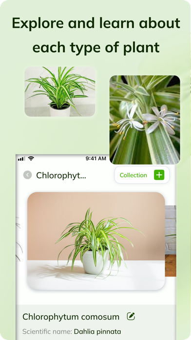 GreenID: Ultimate Plant Finder Screenshot