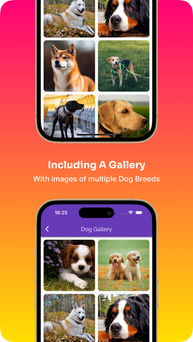 Dog Care Guide: Pup Tips & Fun Screenshot
