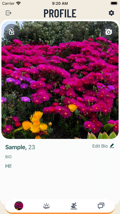 The Wave Social Screenshot