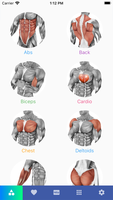 Muscles Exercises Screenshot