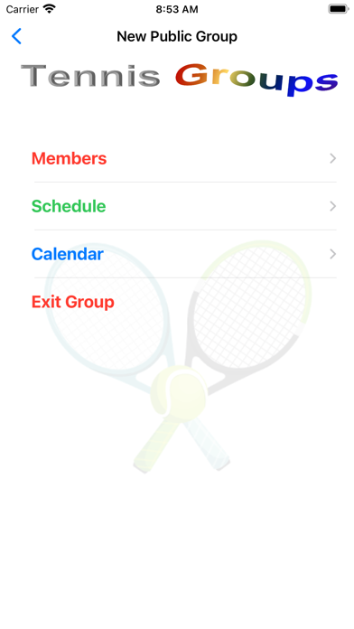 Tennis Teams Screenshot