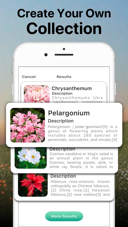 AI Plant Identifier Care Tips screenshot-5