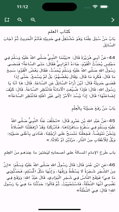 1000 حديث من صحيح البخاري Screenshot