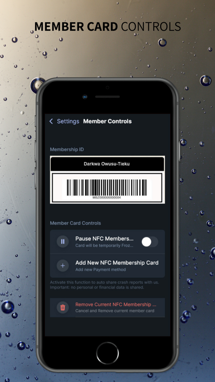 Rebelity Memberships