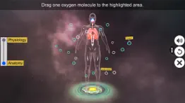 respiratory system physiology iphone screenshot 4