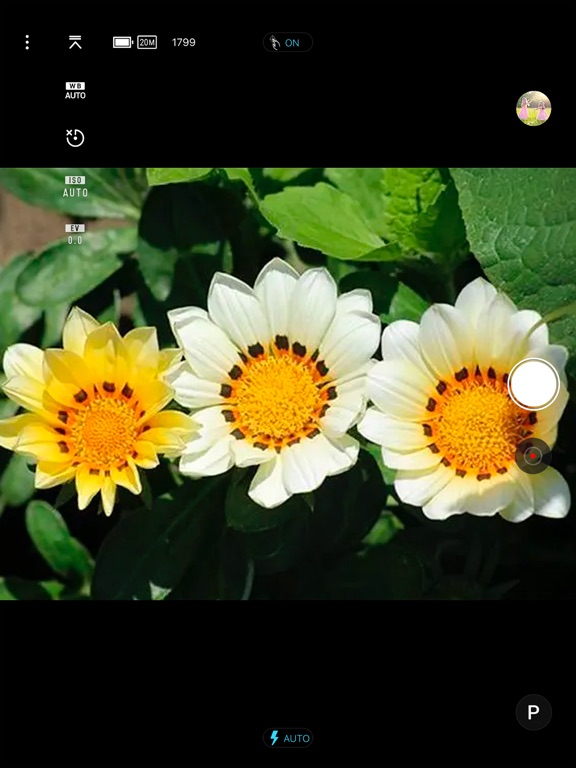 Screenshot #4 pour Minolta ProShot