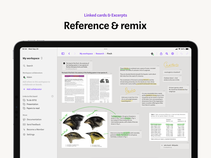 Muse — canvas for thinking