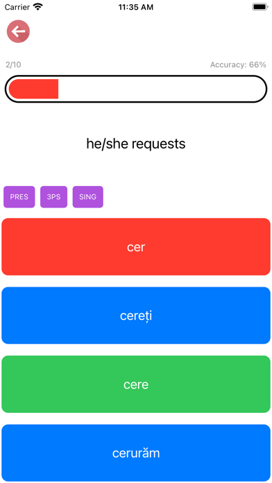 Romanian Verb Blitz Screenshot