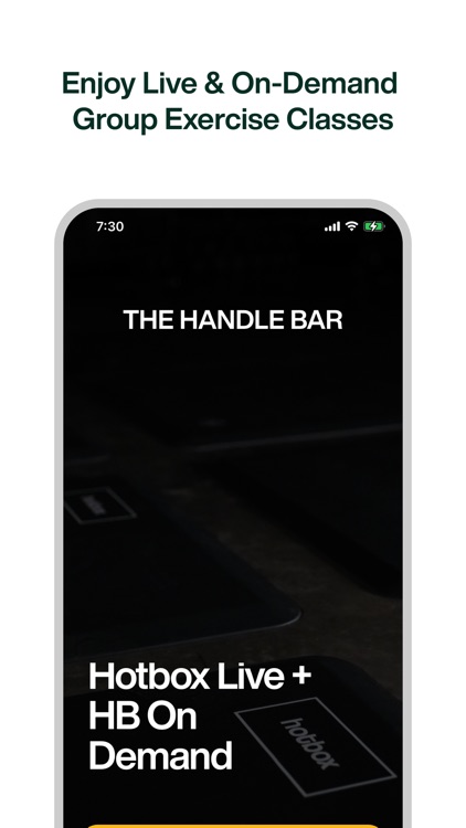The Handle Bar Virtual