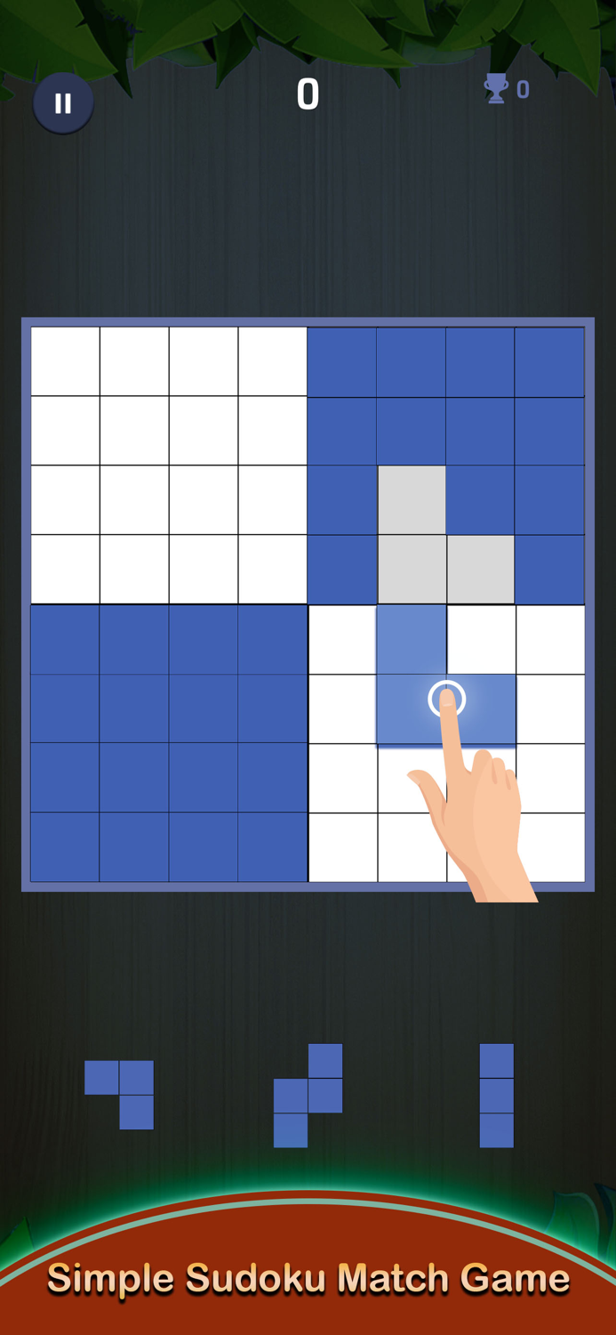 Sudoku Wood Grid Block Puzzle