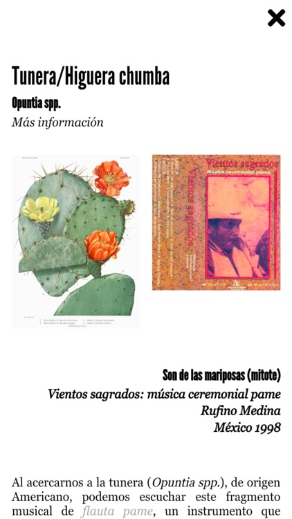 Kleos Guiniguada screenshot-5