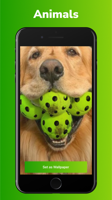 Pickleball Nouveau Screenshot