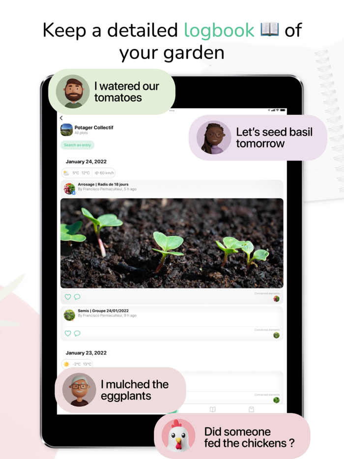 Tomate and Basilic- Permaculture