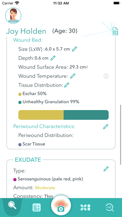 Wound 'AI'd Clinician Screenshot