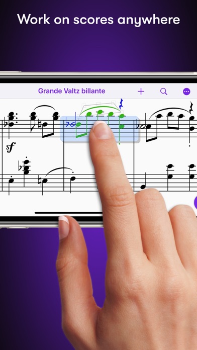 Screenshot #1 pour Sibelius