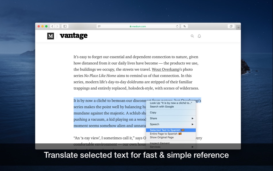 #4. Translate for Safari (macOS) De: Denk Alexandru