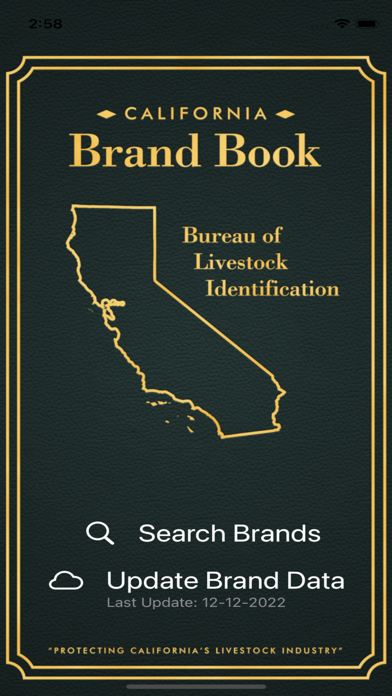 CA Brand Book Screenshot