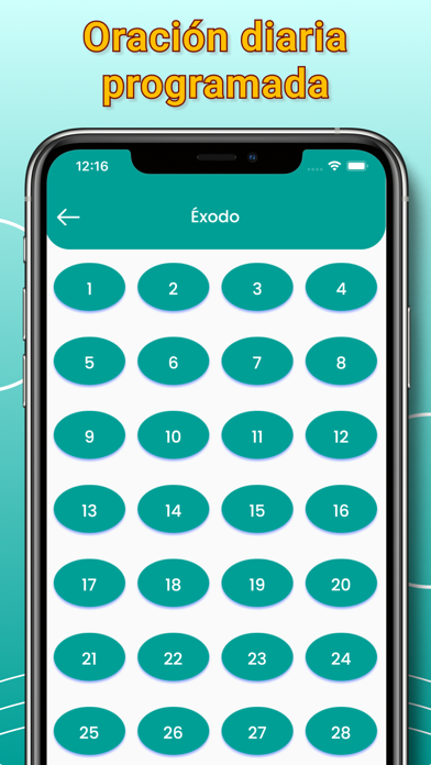 Spanish Audio Bible Screenshot