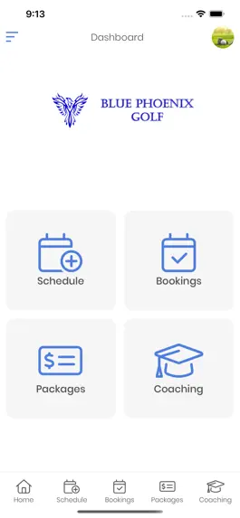 Game screenshot Blue Phoenix Golf hack