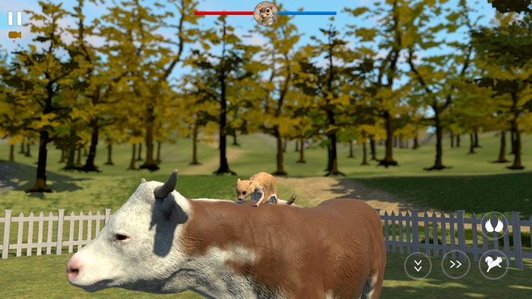 Flying Squirrel Simulator Game