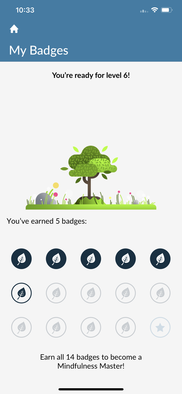 Mindfulness Explorer Pro