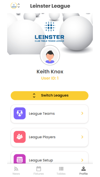 Table Tennis Leagues Screenshot