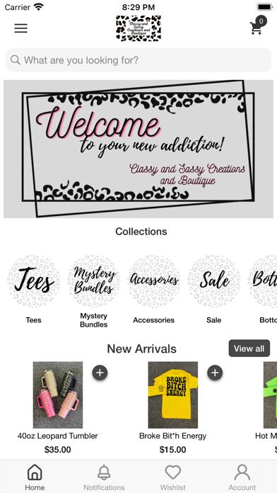 Classy and Sassy Boutique Screenshot