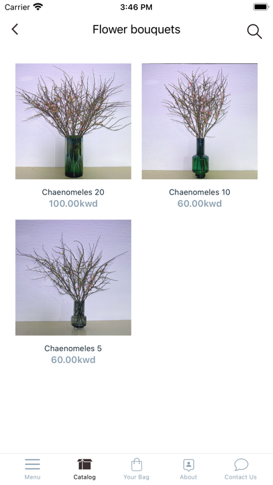 Banflowers and more Screenshot