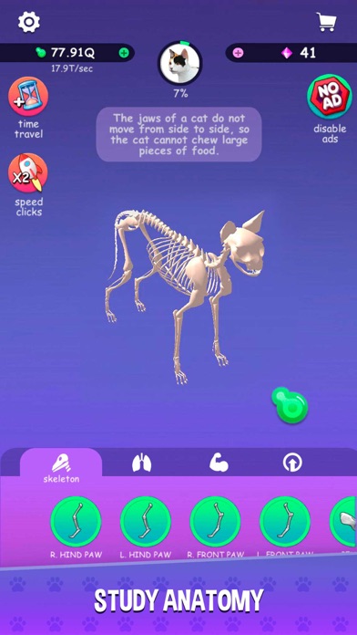 IDLE Animal Anatomy Screenshot