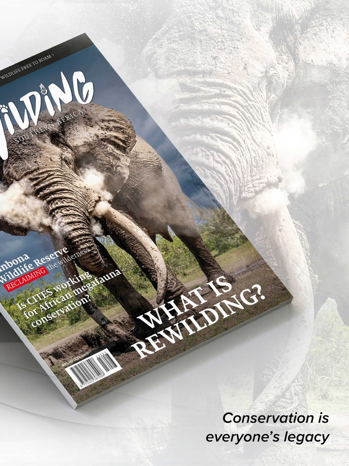 REWILDING Southern Africa