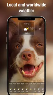 dog weather live iphone screenshot 4