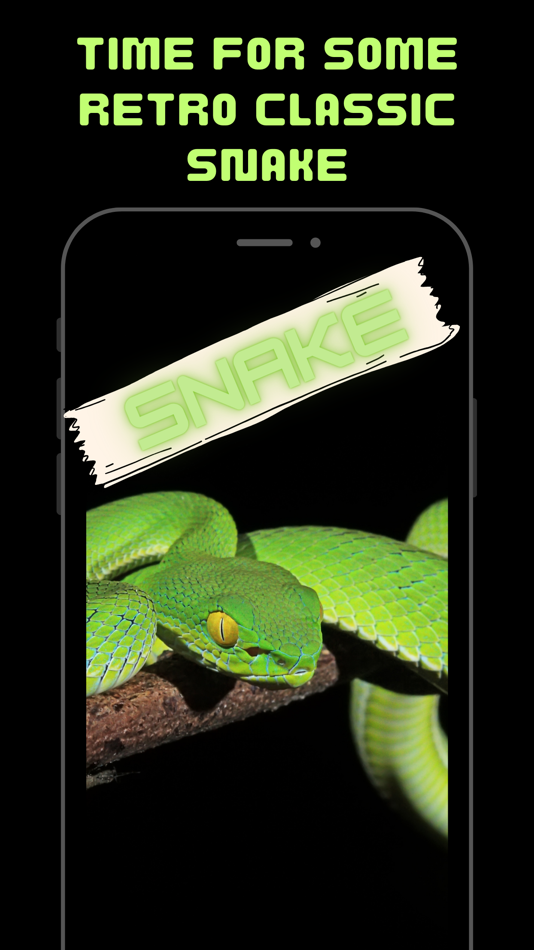Retro Classic Snake - 1.2 - (iOS)