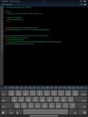rust ide - minimal code ipad resimleri 2