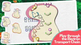 Game screenshot Powerhouse of the Cell mod apk