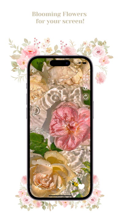 Bloom Wallpapers Screenshot