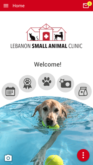 Lebanon Small Animal Clinic Screenshot